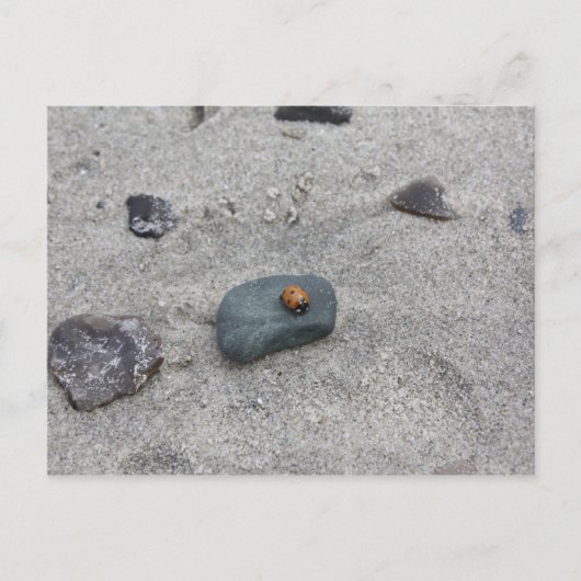 Marienkäfer Strand Briefkaart (Voorkant)