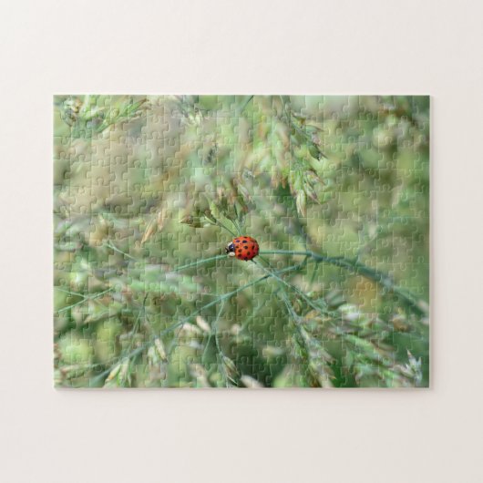 Marienkäfer unterwegs.... legpuzzel (Horizontaal)