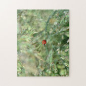 Marienkäfer unterwegs.... legpuzzel (Verticaal)