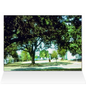 Marie's Coloring Book, Page 5 Park (Binnen Horizontaal (Boven))