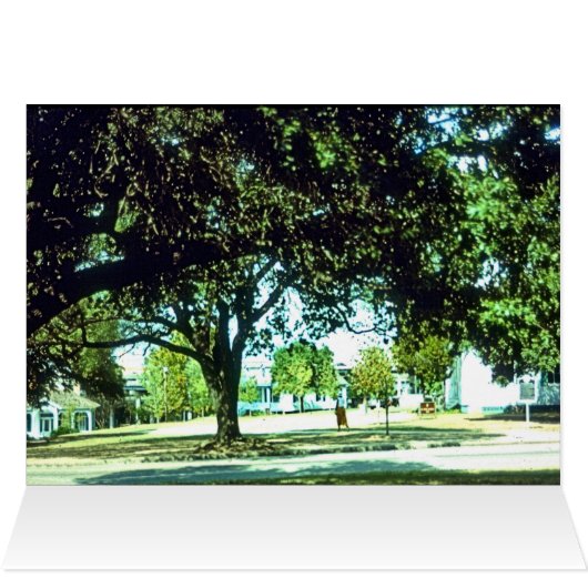 Marie's Coloring Book, Page 5 Park (Binnen Horizontaal (Boven))