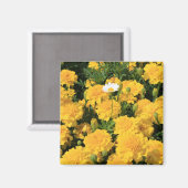 Marigold Bloemen en een Daisy Flower Magnet (Voorkant / Achterkant)
