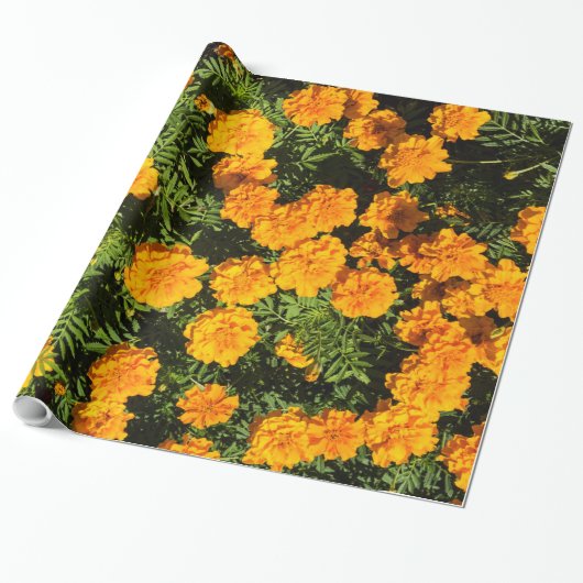 Marigold blosans cadeaupapier (Uitgerold)