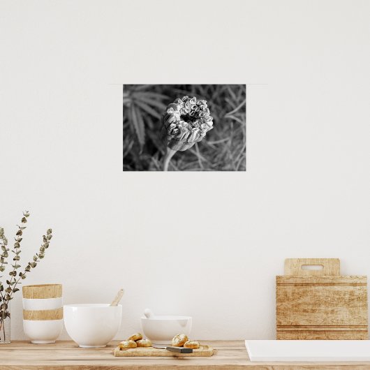 Marigold Blossom Poster (Keuken)