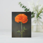 Marigold Botanical Painting Briefkaart (Staand voorkant)