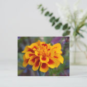 Marigold Briefkaart (Staand voorkant)
