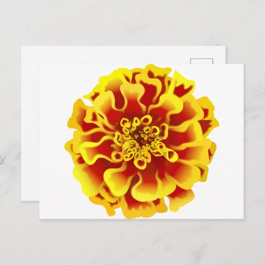 Marigold Briefkaart (Voorkant / Achterkant)