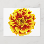 Marigold Briefkaart (Voorkant)