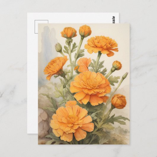 Marigold Briefkaart (Voorkant / Achterkant)