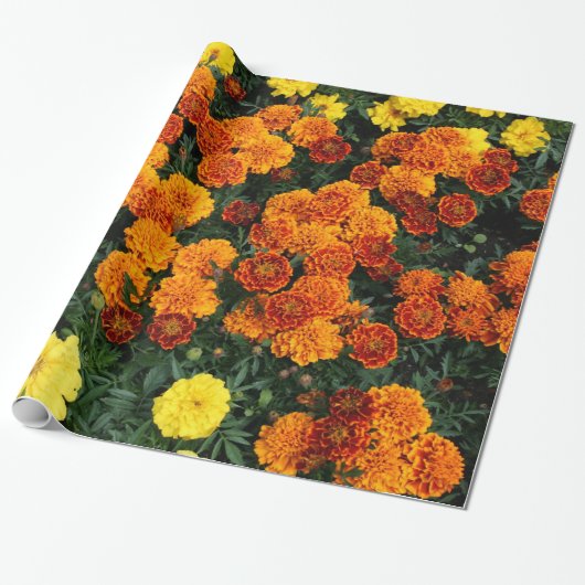 Marigold Cadeaupapier (Uitgerold)