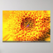 Marigold close-up poster (Voorkant)