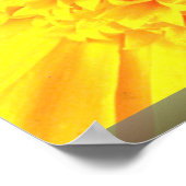 Marigold close-up poster (Hoek)
