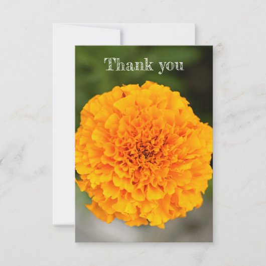 Marigold Flat Thank You Card Bedankkaart (Voorkant)