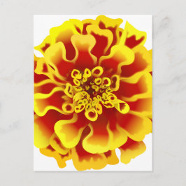 Marigold Flower Briefkaart