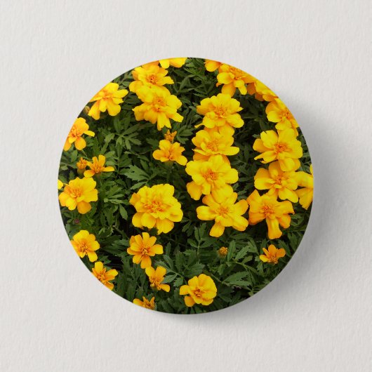 Marigold Flower Button Badge (Voorkant)