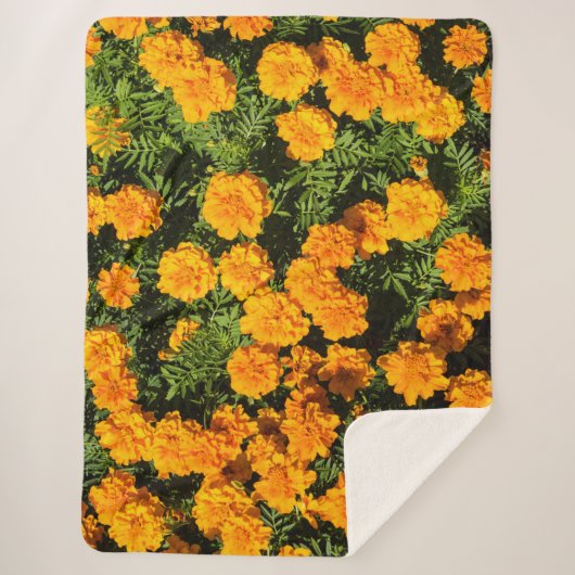 Marigold flower in bloesems sherpa deken (Voorkant)