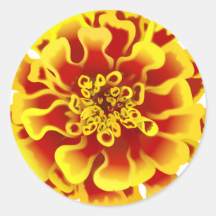 Marigold Flower Ronde Sticker