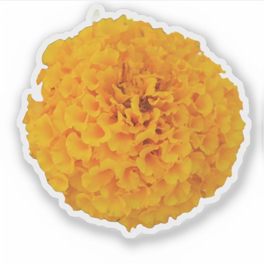 Marigold Flower Sticker (Voorkant)