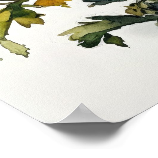 Marigold Flowers Art Print Poster (Hoek)