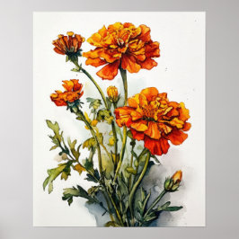 Marigold Flowers Art Print Poster