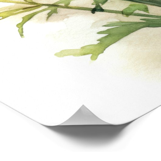 Marigold Flowers Art Print Poster (Hoek)