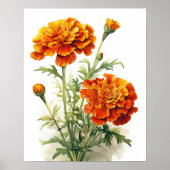 Marigold Flowers Art Print Poster (Voorkant)