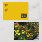 Marigold Garden Visitekaartje (Voorkant / Achterkant)