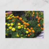 Marigold Garden Visitekaartje (Achterkant)