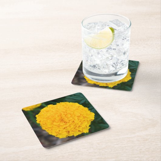 Marigold - Gele bloem - Onderzetter (Insitu)