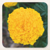 Marigold - Gele bloem - Onderzetter (Voorkant)