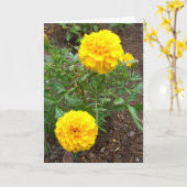 Marigold Kaart (Gele Bloem)