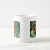 Marigold Koffiemok (Center)