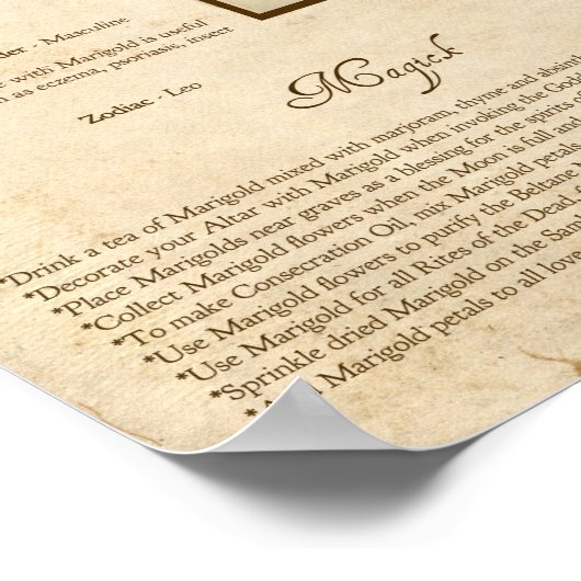 MARIGOLD MAGICK HERB POSTER (Hoek)