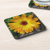 marigold op log bier onderzetter (Linkerzijde)
