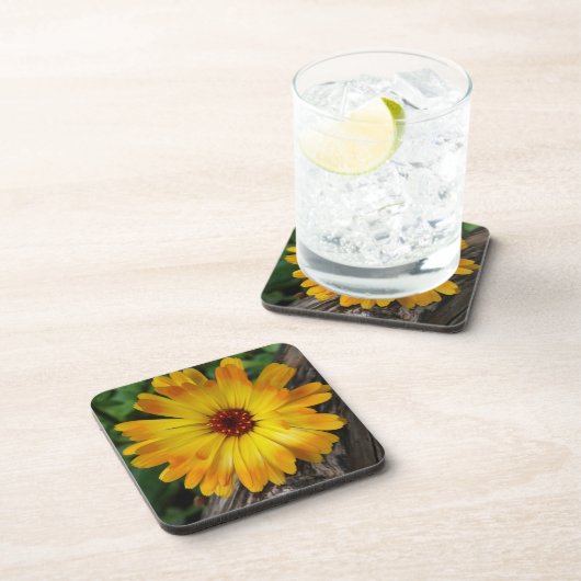 marigold op log bier onderzetter (Rechterzijde)