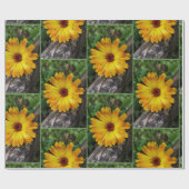 marigold op log cadeaupapier (Vlak)
