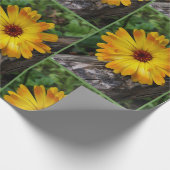 marigold op log cadeaupapier (Hoek)