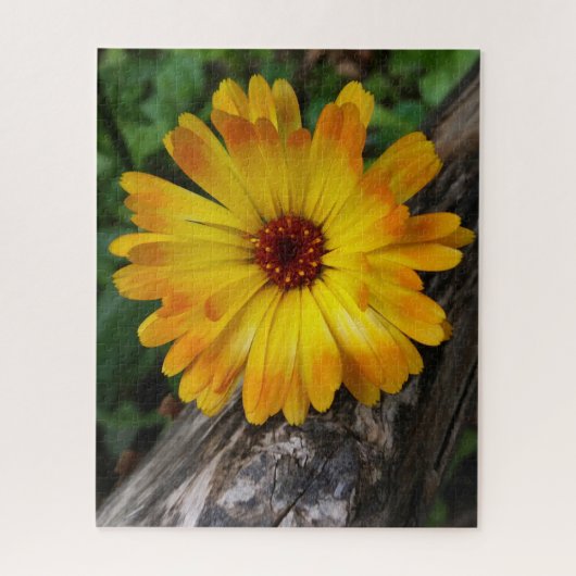 marigold op log legpuzzel (Verticaal)