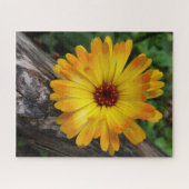marigold op log legpuzzel (Horizontaal)