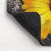 marigold op log muismat (Hoek)