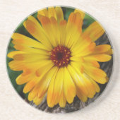 marigold op log zandsteen onderzetter (Voorkant)