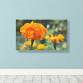 Marigold Oranje Natuur Fotografie Tuin Canvas Afdruk (Insitu (Houten vloer))