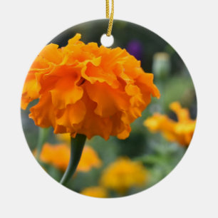 Marigold Oranje Natuur Fotografie Tuin Keramisch Ornament