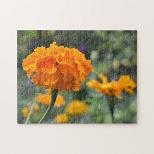 Marigold Oranje Natuur Fotografie Tuin Legpuzzel
