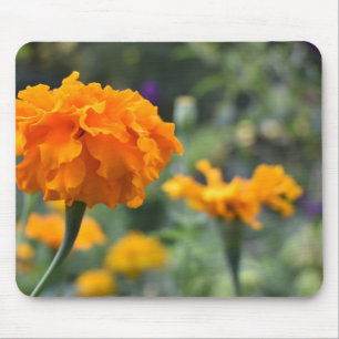 Marigold Oranje Natuur Fotografie Tuin Muismat