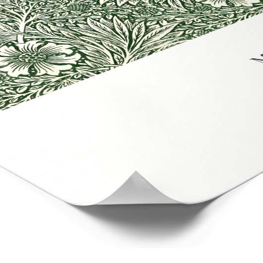 Marigold Poster (Hoek)