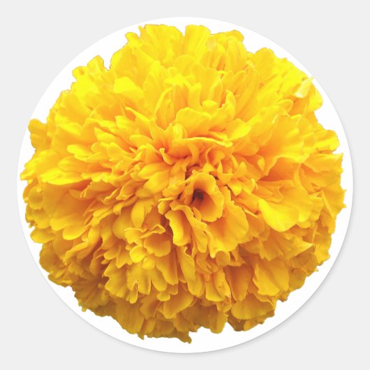 Marigold Ronde Sticker (Voorkant)