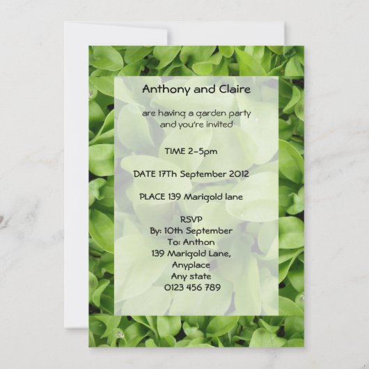 Marigold Seedlings Custom Garden Party Uitnodiging (Achterkant)