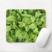 Marigold Seedlings Mousepad Muismat (Met muis)