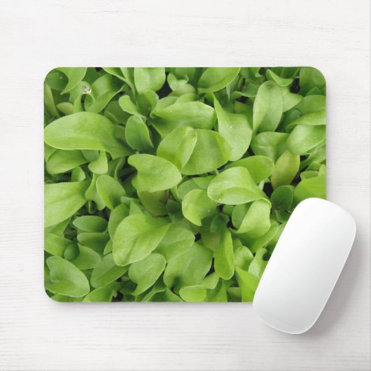 Marigold Seedlings Mousepad Muismat (Met muis)